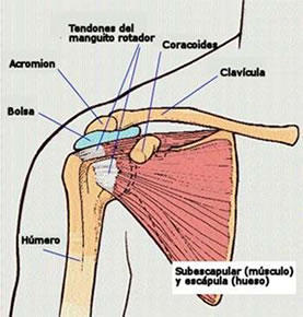 Tratamiento de Rotura del Manguito de los Rotadores del Hombro